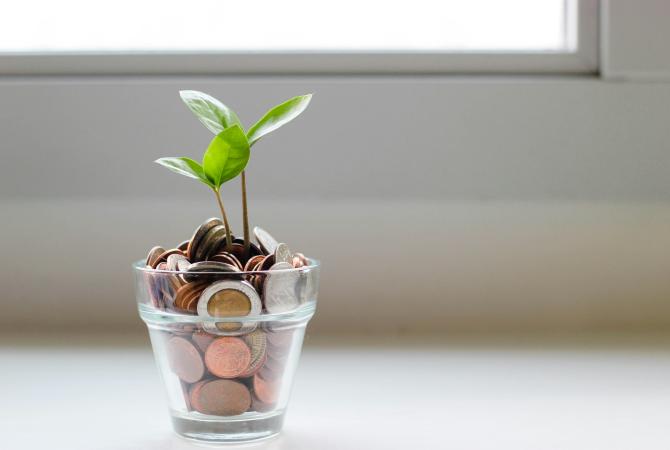 jar of coins with a small plant growing inside it
